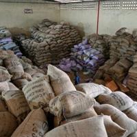 Ivory Coast faces unusual pile-up of cocoa at export hubs