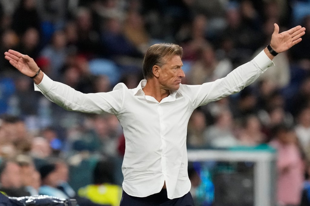 Ivory Coast fails to land coach Herve Renard &lsquo;on loan&rsquo; from France women&rsquo;s team for Africa Cup