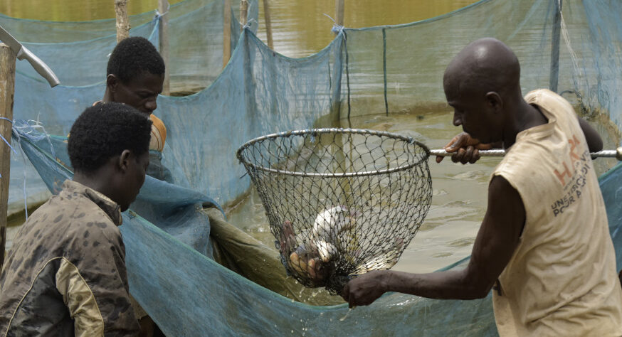 Ivory Coast unveils $33m plan to expand fisheries, cut seafood imports